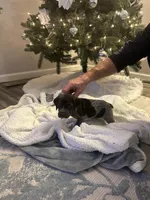 processed/540e524c-205e-4cc1-92cd-d3b7c57e3c69/listing/56eb9a8a-1518-4ec7-a5bd-fbda58b59757/529693ec-a2d3-4107-8c94-7a3d98b38d48