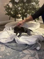 processed/540e524c-205e-4cc1-92cd-d3b7c57e3c69/listing/56eb9a8a-1518-4ec7-a5bd-fbda58b59757/78a654a8-5bec-4522-8431-4eb9fdc60979