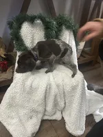 processed/540e524c-205e-4cc1-92cd-d3b7c57e3c69/listing/56eb9a8a-1518-4ec7-a5bd-fbda58b59757/b123a676-cb6d-46c3-8299-275d4288b5fd