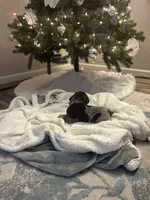 processed/540e524c-205e-4cc1-92cd-d3b7c57e3c69/listing/56eb9a8a-1518-4ec7-a5bd-fbda58b59757/b28d98da-ff76-46e6-a11d-6f3ad5a6d9cf