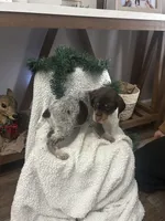 processed/540e524c-205e-4cc1-92cd-d3b7c57e3c69/listing/60ccd11c-fb5e-420f-ae5a-3a09f1b6226d/292be4f0-b718-4ed4-9bdf-28279e3e0b1d