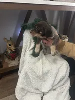 processed/540e524c-205e-4cc1-92cd-d3b7c57e3c69/listing/60ccd11c-fb5e-420f-ae5a-3a09f1b6226d/2ca3eef1-6075-4afc-87d2-e3e8998badf9