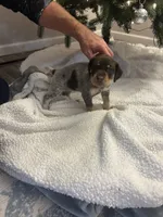 processed/540e524c-205e-4cc1-92cd-d3b7c57e3c69/listing/60ccd11c-fb5e-420f-ae5a-3a09f1b6226d/a56c8a03-c191-4a77-a458-bc7d7aacdc7d