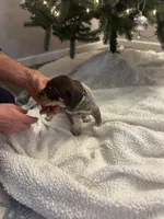 processed/540e524c-205e-4cc1-92cd-d3b7c57e3c69/listing/60ccd11c-fb5e-420f-ae5a-3a09f1b6226d/b2e00762-42f4-4a99-946f-c5d2b76caa4e