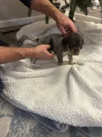 processed/540e524c-205e-4cc1-92cd-d3b7c57e3c69/listing/60ccd11c-fb5e-420f-ae5a-3a09f1b6226d/e098523d-d158-49d2-bbe3-3f78a7d920ad