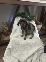 processed/540e524c-205e-4cc1-92cd-d3b7c57e3c69/listing/63be4fca-1425-47d5-8e22-069c827c235d/356774a1-9b6d-4448-abcb-a5b50fb0e736