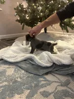 processed/540e524c-205e-4cc1-92cd-d3b7c57e3c69/listing/63be4fca-1425-47d5-8e22-069c827c235d/57e530d0-321f-4814-9615-237ffeebf9b2