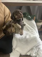 processed/540e524c-205e-4cc1-92cd-d3b7c57e3c69/listing/63be4fca-1425-47d5-8e22-069c827c235d/7d9e97c7-5f48-490a-96a9-7191fb147d4c