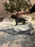 processed/540e524c-205e-4cc1-92cd-d3b7c57e3c69/listing/63be4fca-1425-47d5-8e22-069c827c235d/cbd98630-c1fe-413a-907c-590259e523a8