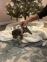 processed/540e524c-205e-4cc1-92cd-d3b7c57e3c69/listing/63be4fca-1425-47d5-8e22-069c827c235d/f42d4621-0d34-4917-9686-d8e0a982078c