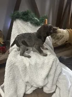 processed/540e524c-205e-4cc1-92cd-d3b7c57e3c69/listing/63be4fca-1425-47d5-8e22-069c827c235d/fe040cee-43b8-4d8b-983f-cddccf6efdfe