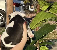 processed/54116631-6b41-4fc1-a9fb-14218c4fb1ba/listing/4e9d9748-1ef8-4ce7-ae94-b4e4660b467b/37ad0c73-31b1-4253-95f3-4cffe2144324