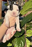 processed/54116631-6b41-4fc1-a9fb-14218c4fb1ba/listing/4e9d9748-1ef8-4ce7-ae94-b4e4660b467b/8279707f-cf3e-4844-a96f-cea94fe15d4f