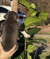 processed/54116631-6b41-4fc1-a9fb-14218c4fb1ba/listing/70ada8ac-5a3c-4509-9b2f-6f383655a7a6/156e7aab-0809-496d-be49-98a8be0271d6