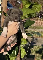 processed/54116631-6b41-4fc1-a9fb-14218c4fb1ba/listing/70ada8ac-5a3c-4509-9b2f-6f383655a7a6/196a6b87-73eb-41a9-b6cc-63a9e8a0d3a2