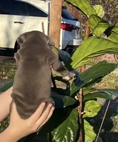 processed/54116631-6b41-4fc1-a9fb-14218c4fb1ba/listing/bbd08470-56fc-46bd-9a06-342aee7ccfd6/d95be6c3-70b8-475f-ad67-51a96117c23e