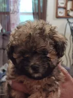 processed/54160933-1195-4ec3-b81c-c11cad1da6b0/listing/3ce234f3-769b-4fc2-9951-172531fe31cd/26cffffc-1abe-45c3-bd7f-7f0d16a75e09