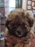 processed/54160933-1195-4ec3-b81c-c11cad1da6b0/listing/3ce234f3-769b-4fc2-9951-172531fe31cd/324cb0c7-1175-41f0-b3b3-00932b95838b