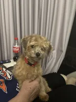 processed/54160933-1195-4ec3-b81c-c11cad1da6b0/listing/3ce234f3-769b-4fc2-9951-172531fe31cd/52fbf7b4-cab7-4eff-96ad-3eb74f0d89ad