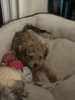 processed/54160933-1195-4ec3-b81c-c11cad1da6b0/listing/3ce234f3-769b-4fc2-9951-172531fe31cd/b9f973c1-da52-452d-8d4b-ac3360c81f43