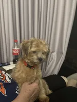 processed/54160933-1195-4ec3-b81c-c11cad1da6b0/listing/3ce234f3-769b-4fc2-9951-172531fe31cd/d4b717bf-12d8-4bf8-ab25-1666de174d95