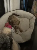 processed/54160933-1195-4ec3-b81c-c11cad1da6b0/listing/3ce234f3-769b-4fc2-9951-172531fe31cd/d6c81709-5baf-4b2b-93ab-418dbd4767d1