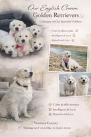 processed/541661c5-4bd0-42b2-8270-6147a092d952/facility/c87f80a4-652b-4070-af61-8dde0925d692