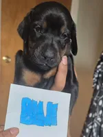 processed/541d55f5-ddd3-4b1e-ab70-866b3a86b7fe/listing/40035bc8-0621-4bfc-a16f-2a2ababfcc08/7e072cfe-13f0-42f5-9733-00b792b5318b