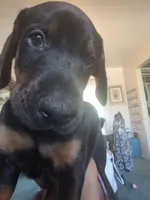 processed/541d55f5-ddd3-4b1e-ab70-866b3a86b7fe/listing/40035bc8-0621-4bfc-a16f-2a2ababfcc08/ba0b2e6d-3c84-4a24-a987-a1c1440d9435