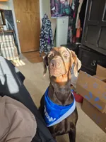 processed/541d55f5-ddd3-4b1e-ab70-866b3a86b7fe/listing/40035bc8-0621-4bfc-a16f-2a2ababfcc08/f7b6814c-12b2-4f55-bba7-fccc3f2e7d77