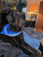 processed/541d55f5-ddd3-4b1e-ab70-866b3a86b7fe/listing/aa59443e-a12c-447c-a925-58bb3ccedd9a/0ab38afa-a7cf-4470-acca-2301a9166c09