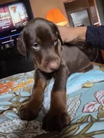 processed/541d55f5-ddd3-4b1e-ab70-866b3a86b7fe/listing/aa59443e-a12c-447c-a925-58bb3ccedd9a/14f1c587-5d42-4653-a4a3-ce88cfa09f6e