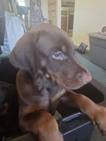 processed/541d55f5-ddd3-4b1e-ab70-866b3a86b7fe/listing/aa59443e-a12c-447c-a925-58bb3ccedd9a/18a09403-bbf1-42f2-9f44-39db382f7199