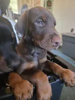 processed/541d55f5-ddd3-4b1e-ab70-866b3a86b7fe/listing/aa59443e-a12c-447c-a925-58bb3ccedd9a/28f007ef-5b58-446b-8e20-9fdfe6d88589