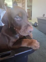 processed/541d55f5-ddd3-4b1e-ab70-866b3a86b7fe/listing/aa59443e-a12c-447c-a925-58bb3ccedd9a/549e477f-711d-4f80-9bec-7212744ccc43