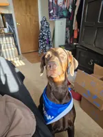 processed/541d55f5-ddd3-4b1e-ab70-866b3a86b7fe/listing/aac1f3c6-c695-4fb4-ab6f-897c3ec34ed0/1934e53f-583d-448b-b8f5-b6d02b748540