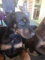 processed/541d55f5-ddd3-4b1e-ab70-866b3a86b7fe/listing/aac1f3c6-c695-4fb4-ab6f-897c3ec34ed0/5877b80c-fe52-42e3-bb27-21510c935ba1