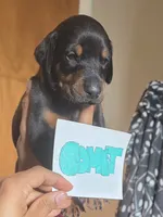 processed/541d55f5-ddd3-4b1e-ab70-866b3a86b7fe/listing/aac1f3c6-c695-4fb4-ab6f-897c3ec34ed0/994acd16-91d1-4328-b6ba-334f40b4f88b