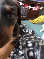 processed/541d55f5-ddd3-4b1e-ab70-866b3a86b7fe/listing/aac1f3c6-c695-4fb4-ab6f-897c3ec34ed0/ad05d552-b406-434a-a8c3-a912dfa75ec4