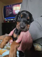 processed/541d55f5-ddd3-4b1e-ab70-866b3a86b7fe/listing/aac1f3c6-c695-4fb4-ab6f-897c3ec34ed0/df5b8cc1-cb72-4d05-ae47-38364637fcd7