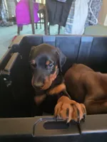 processed/541d55f5-ddd3-4b1e-ab70-866b3a86b7fe/listing/aac1f3c6-c695-4fb4-ab6f-897c3ec34ed0/e123b93a-5909-453f-a637-f9f5a59da849