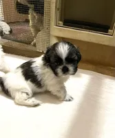 processed/541f2a45-6abb-49dc-b28c-59f2afb2876e/facility/229e6ba3-fa2e-4456-859b-6c82978f5b4a