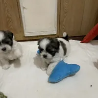 processed/541f2a45-6abb-49dc-b28c-59f2afb2876e/facility/33d9b515-6606-4dae-b212-199166d54de7