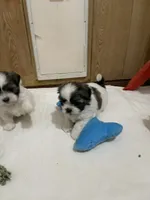 processed/541f2a45-6abb-49dc-b28c-59f2afb2876e/facility/33d9b515-6606-4dae-b212-199166d54de7