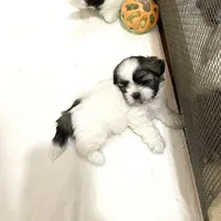 processed/541f2a45-6abb-49dc-b28c-59f2afb2876e/facility/3732188a-0bb9-4e49-9a6b-6625a483f5da