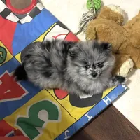 processed/541f2a45-6abb-49dc-b28c-59f2afb2876e/facility/375f6f47-f97e-46e2-9aaa-806da9d32dc1