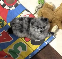 processed/541f2a45-6abb-49dc-b28c-59f2afb2876e/facility/375f6f47-f97e-46e2-9aaa-806da9d32dc1