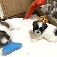 processed/541f2a45-6abb-49dc-b28c-59f2afb2876e/facility/5c57beb5-272c-4e10-822e-ed41b7b4732d