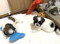 processed/541f2a45-6abb-49dc-b28c-59f2afb2876e/facility/5c57beb5-272c-4e10-822e-ed41b7b4732d