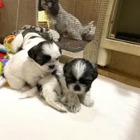 processed/541f2a45-6abb-49dc-b28c-59f2afb2876e/facility/8e520c87-5757-4cfb-9c0e-3baa14f7b6f1